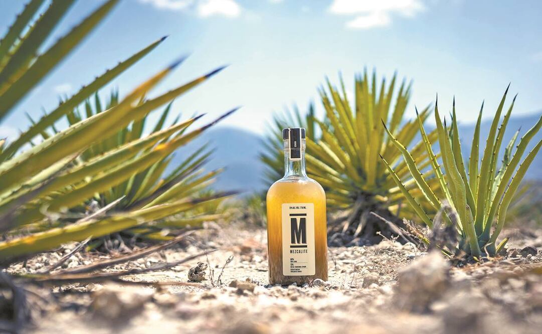 Mezcalité es la primera marca en obtener la certificación de una bebida que no está compuesta únicamente de mezcal. Fotos: Mario Arturo Martínez/ El Universal.