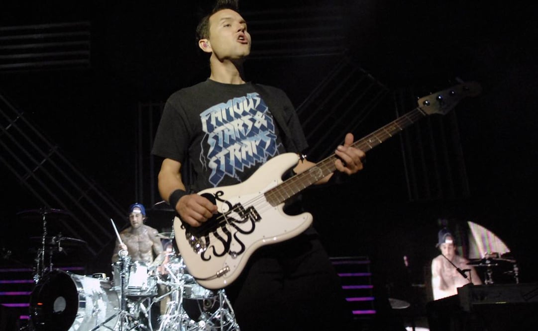 Blink 182 compuso su canción “Won’t be home for Christmas” para expresar su sentir.