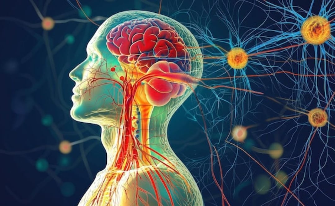 El impacto del cortisol en la piel. Fuente: Freepik.