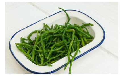 Salicornia, el ingrediente de moda
