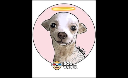 Descansa, héroe: Muere Pincky, lomito herido tras defender su casa de ladrones