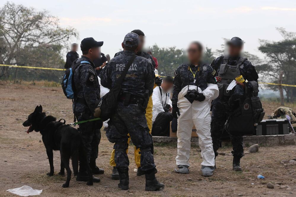 La PF explicó que el personal en la zona logró extraer información y evidencias que deberán ser exhaustivamente evaluadas (ESPECIAL)