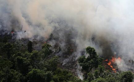 Incendios forestales en Brasil superan los 70 mil en el año; rompe cifra récord