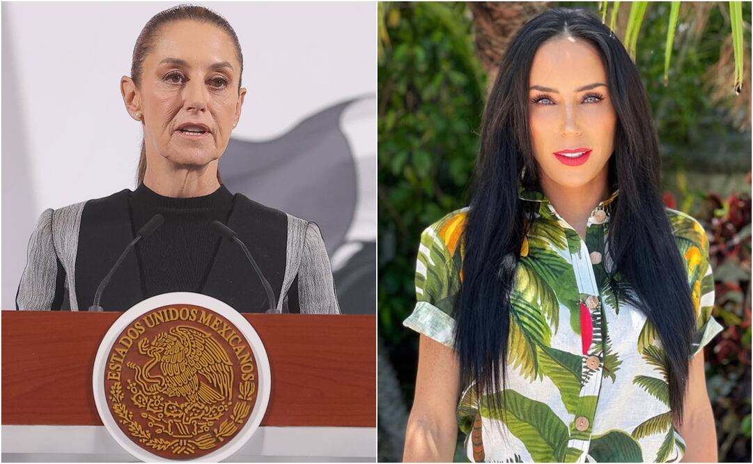 La presidenta Claudia Sheinbaum opinó sobre el caso de la presentadora de TV. Foto: Gabriel Pano. EL UNIVERSAL e Instagram