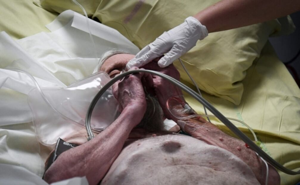 Anticuerpos contra covid-19 duran 8 meses en la mayoría de casos