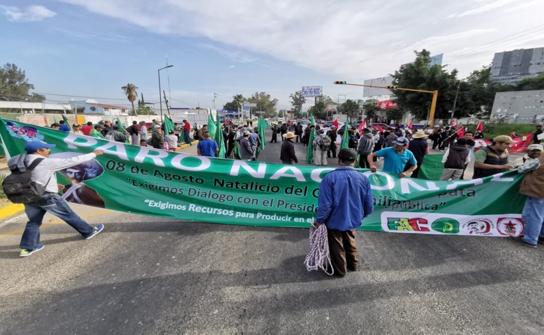 Foto: Edwin Hernández