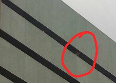 Evitan suicidio de paciente en Hospital La Raza