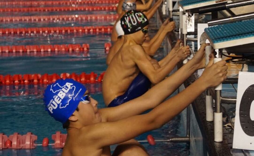Comenzaron las pruebas de la clase elite en el Campeonato Nacional de Natación