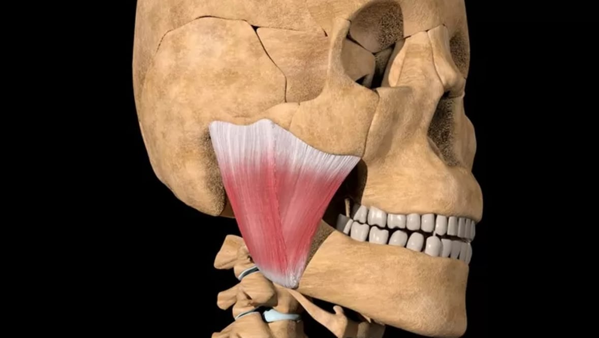 Foto: Getty, vía BBC