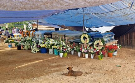 Urgen a realizar una operación Enjambre en Guerrero