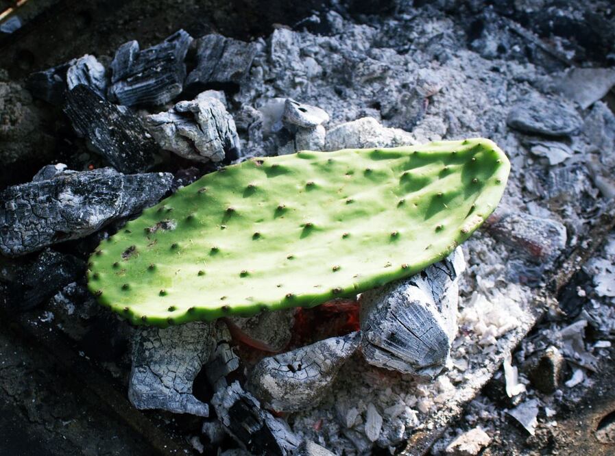 El nopal es uno de los alimentos mexicanos con mejores efectos sobre los niveles de azúcar / Foto: Pixabay