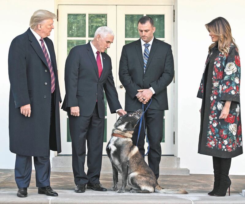 Presentación. Donald Trump mostró a Conan , el perro del ejército que estuvo en la operación contra Abu al-Bagdadi. EVAN VUCCI. AP