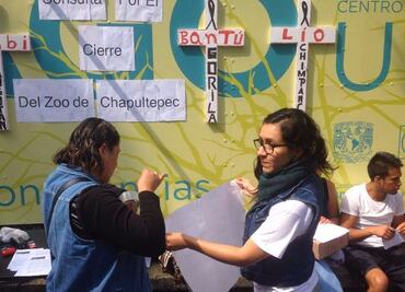 Realizan consulta sobre el cierre del Zoológico de Chapultepec, tras la muerte de Bantú