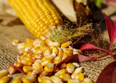 ¿Qué es el nixtamal y cómo se hace?