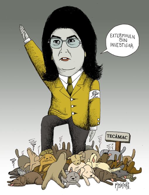 Holocausto perruno