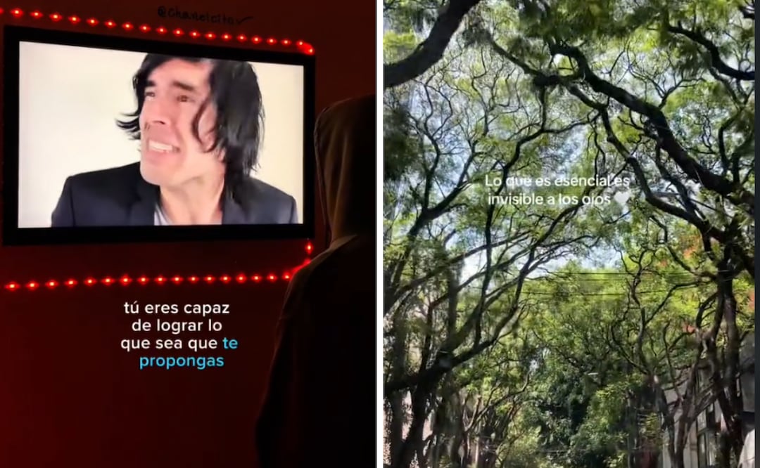 En un mundo saturado de malas noticias, el HopeCore se alza como una tendencia refrescante en TikTok que fomenta la positividad y el bienestar mental. Foto: Captura de pantalla