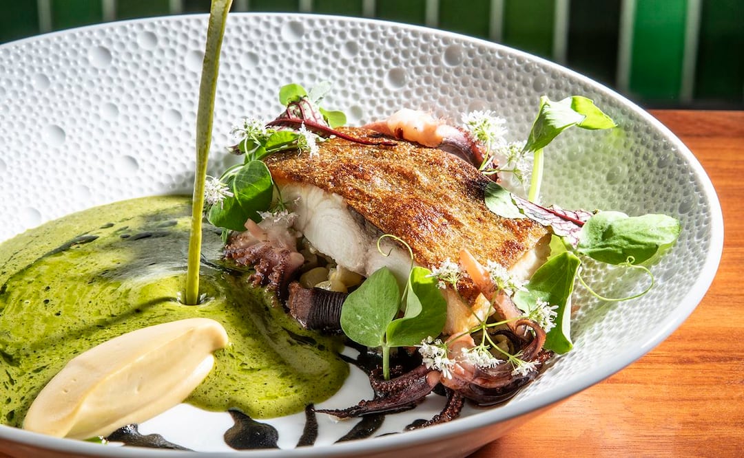 Conoce más sobre la pesca mexicana sustentable. Foto: Jorge Garaiz en Restaurante Octavia