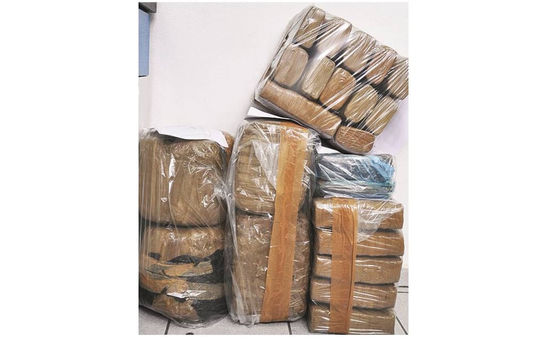 Archivo / EL UNIVERSAL