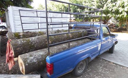 Dan formal prisión a talador detenido en parque Izta-Popo