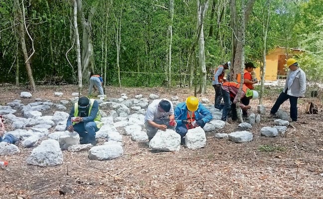 Parques del Tren Maya: Crímenes de lesa arqueología