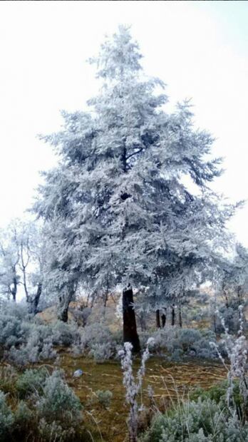 Postales de invierno en la República Mexicana