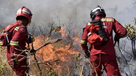 Incendios en el Amazonas: el fuego sigue "fuera de control" en Bolivia y ya arrasó 2 millones de hectáreas