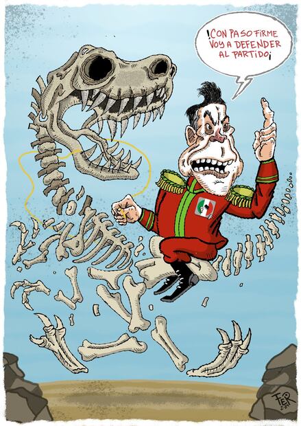 Cartón de FER