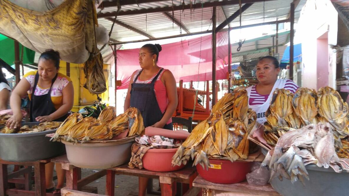 (Foto: Alberto López Morales/EL UNIVERSAL)