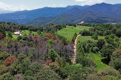 Profepa brinda atención prioritaria al Bosque de Agua; busca frenar tala ilegal y extracción de suelo