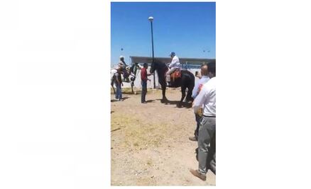 AMLO quiere domar a Sansón; monta caballo en Camargo