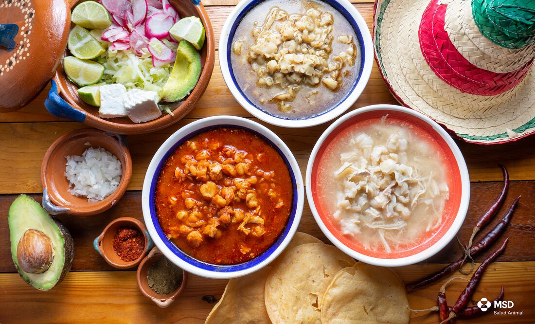 De acuerdo con el Instituto Mexicano del Seguro Social (IMSS), se trata de un platillo completo ya que contiene todos los nutrientes necesarios en una comida saludable. Foto: MSD Salud