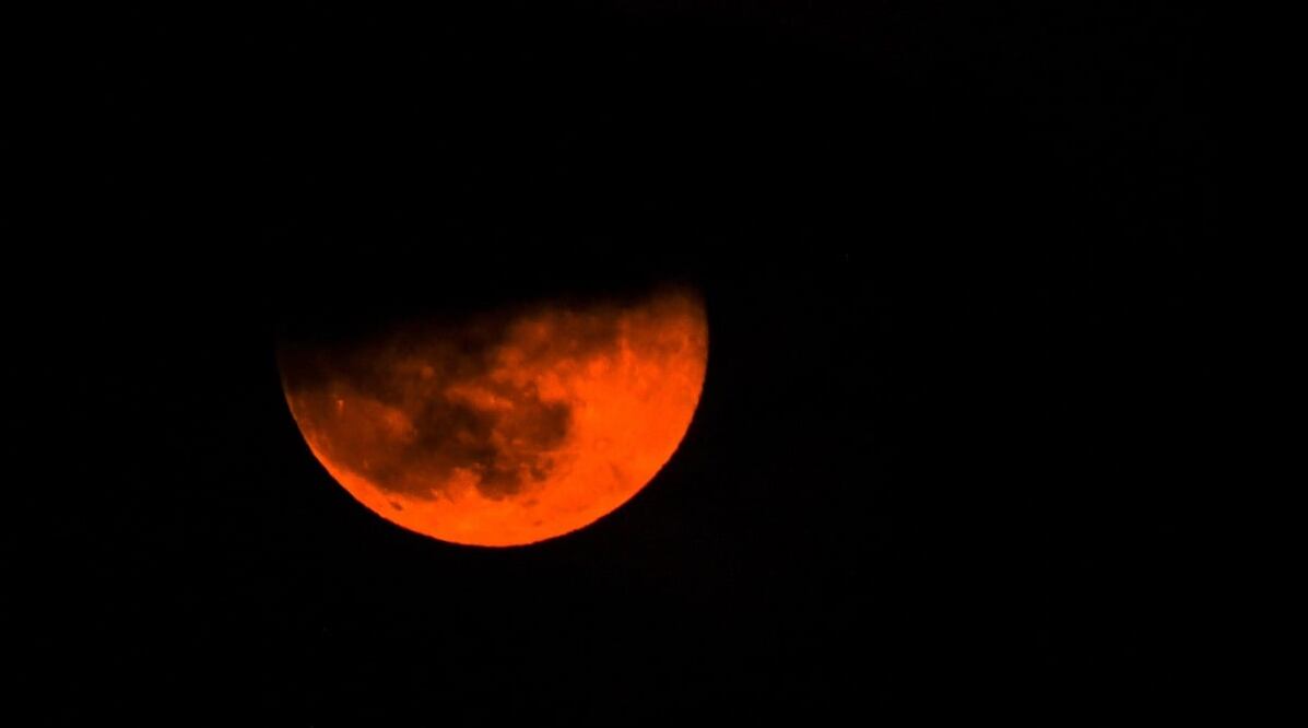 Foto: EFE / Georgi Licovski, archivo