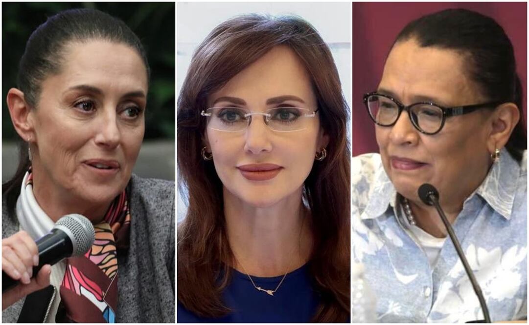 Foto: Especial- Faceook / Lilly Téllez - Twitter @rosaicela_