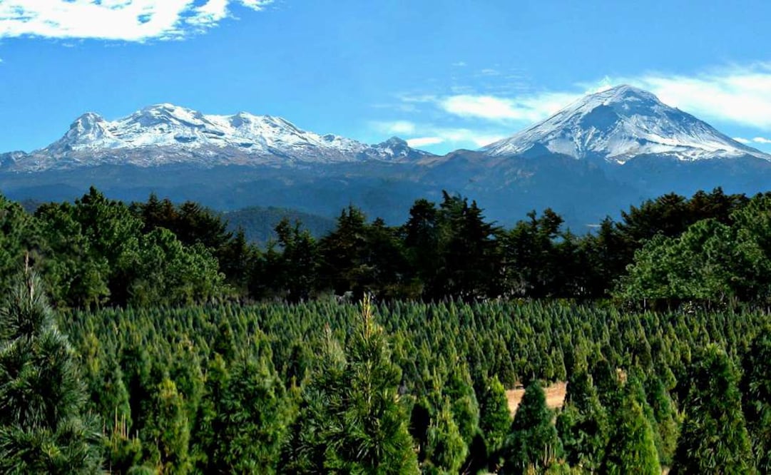 Si quieres aventura y paisajes espectaculares, Hacienda Panoaya es el lugar ideal para ti. (Foto: Cortesía Hacienda Panoaya)