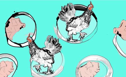 La carrera por producir carne artificial y cómo cambiará nuestra alimentación