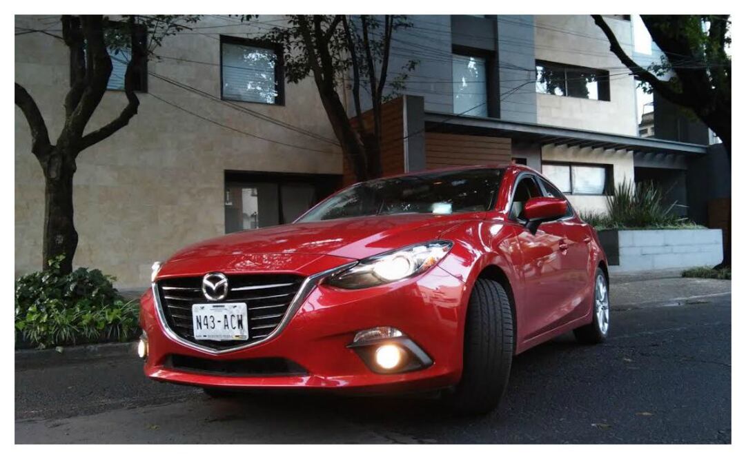 Tricolor con ascendencia oriental