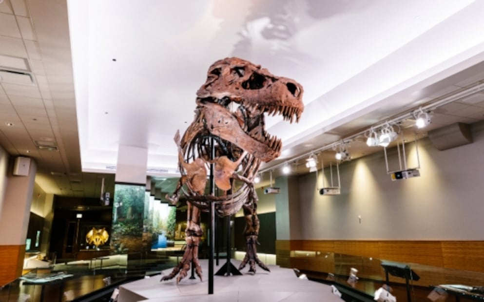 Chicago, 9 experiencias que no “pela” la mayoría de los turistas