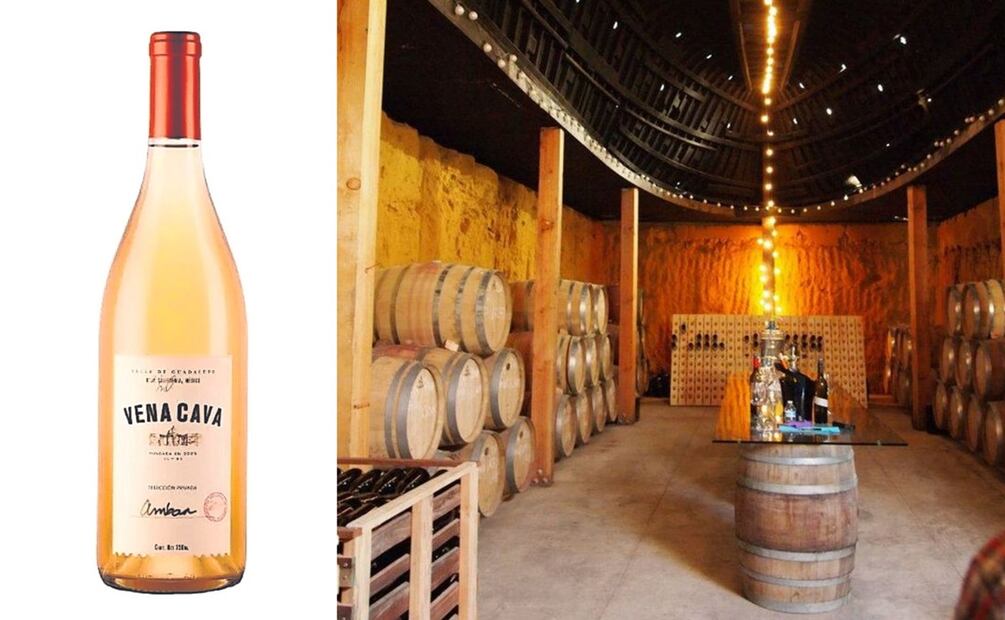 Aprender sobre vino mexicano, es ideal para cualquier sommelier. Foto: Especial