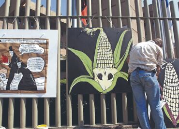 Habrá aranceles si México no revierte decreto de maíz