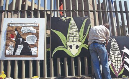 Habrá aranceles si México no revierte decreto de maíz