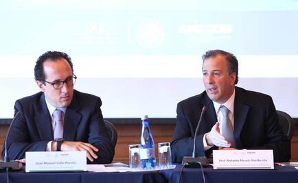 Meade destaca avances en cooperación internacional