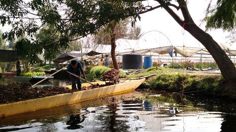 Habilitan sistema de conducción en Xochimilco