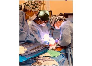 Logran trasplantar a un humano dos riñones de cerdo modificados genéticamente