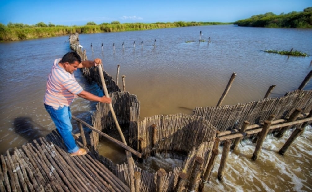 Qué hacer y ver en la Isla de Mexcaltitán, el nuevo Pueblo Mágico de Nayarit