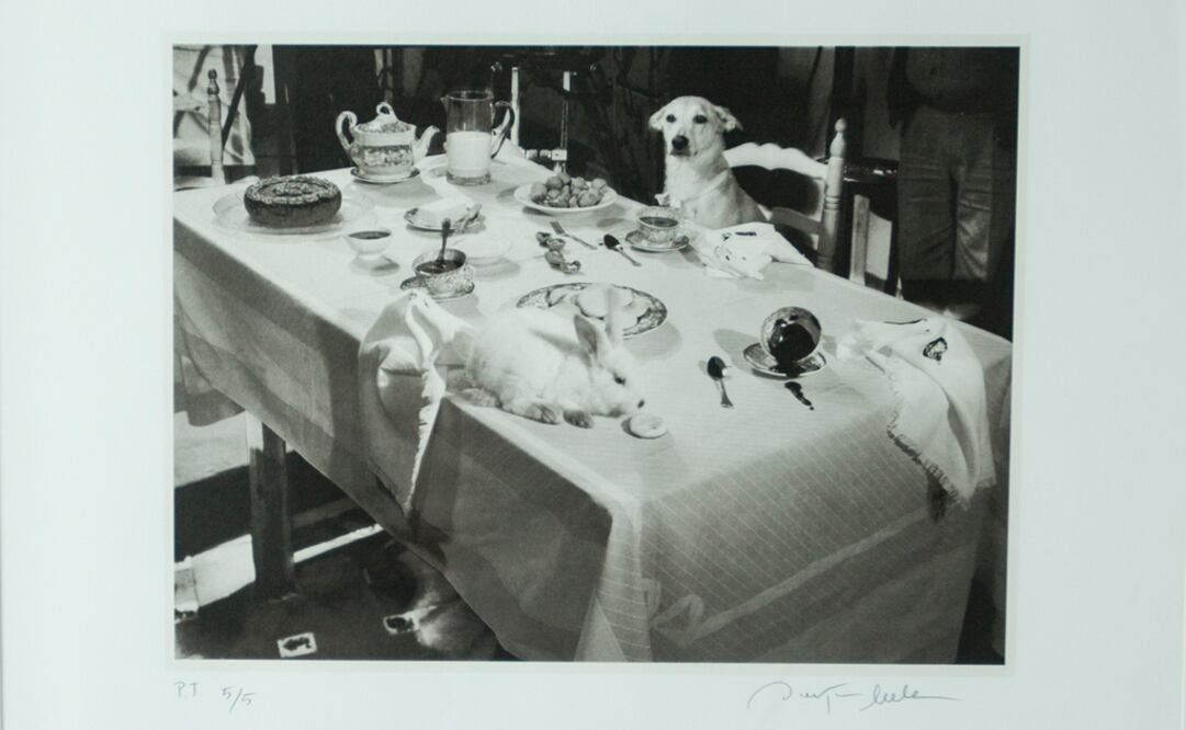 El Centro Cultural de España en México (CCEMx) recibirá la exposición "Horizontes imaginarios". 