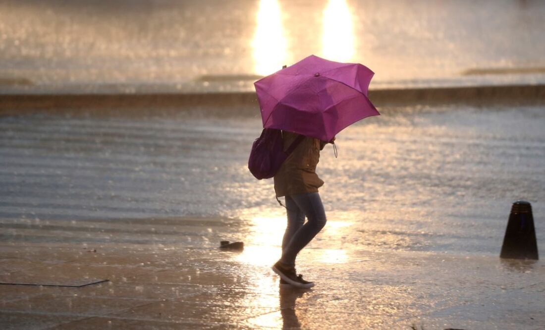 Foto: Archivo | EL UNIVERSAL