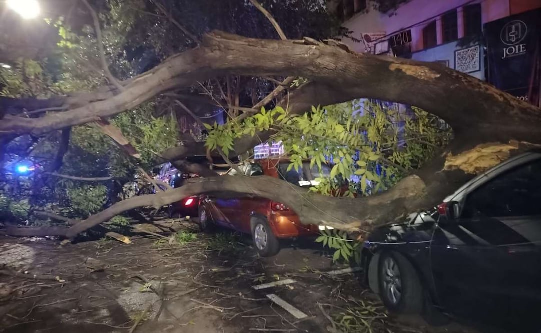 Árbol cae sobre vehículos en Polanco tras fuertes lluvias y vientos registrados este miércoles 22 de abril. Fotos: Especiales.