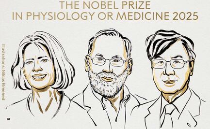 Investigadores Mary E. Brunkow, Fred Ramsdell y Shimon Sakaguchi ganan el Premio Nobel de Medicina 2025