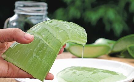 The many benefits of aloe vera