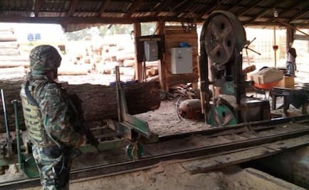 Profepa clausura 2 aserraderos en Michoacán